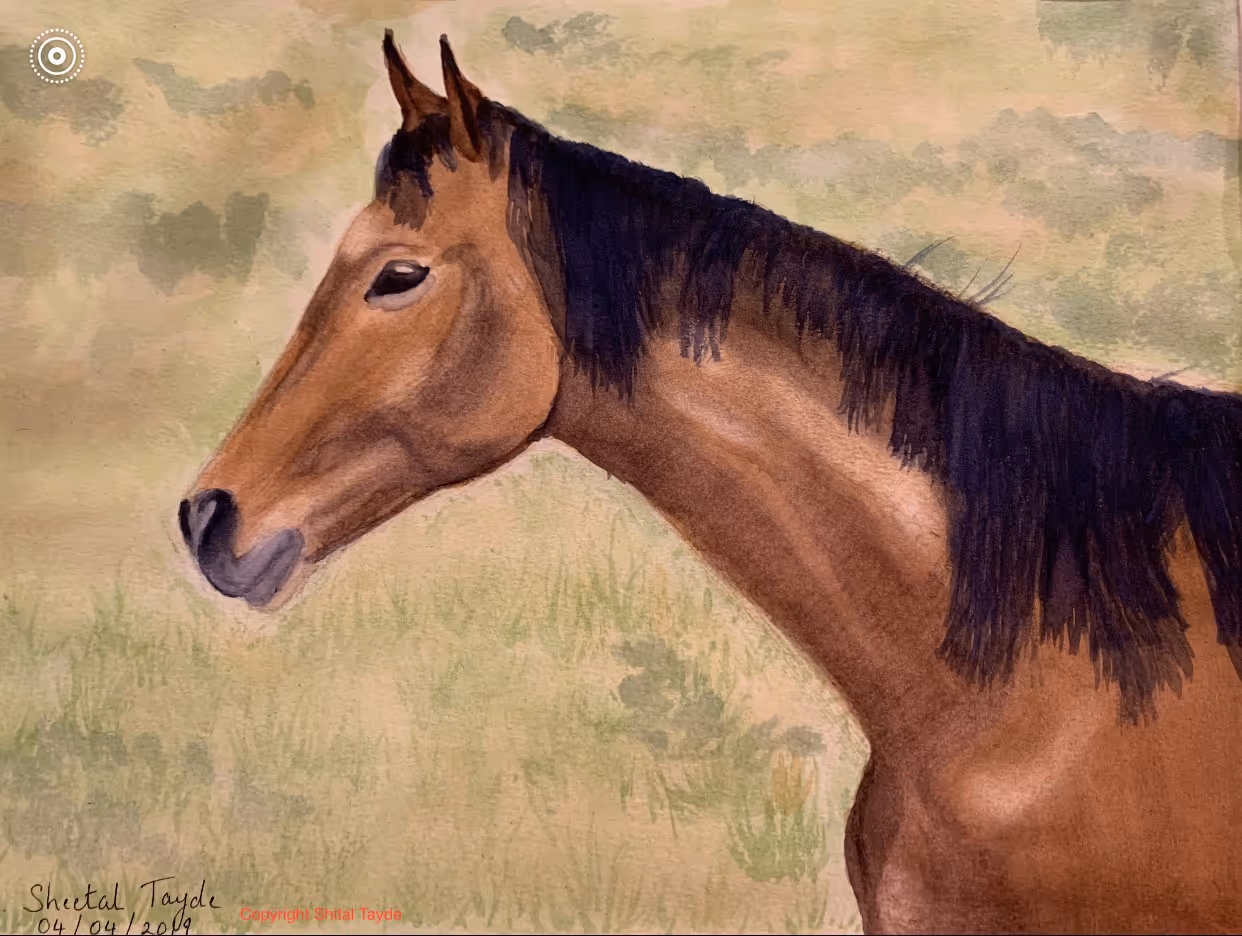 Portrait of a Horse painting by Shital Tayde